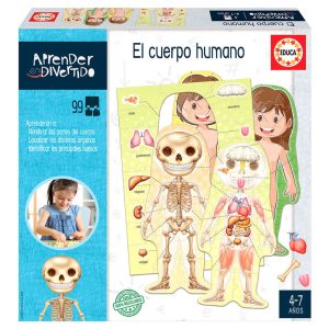Spanish El Cuerpo Humano español